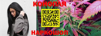 гашик Свободный