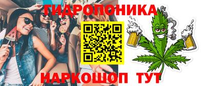 гашик Свободный